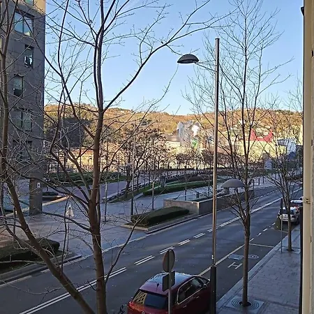 Guggenheim Centrico Y Confortable アパート ビルバオ